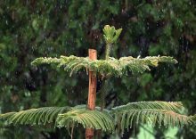 Airlines warn of Delhi flight disruption as rain continues Saturday
