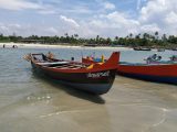 Kerala yellow alert, fishing ban as widespread rain continues today