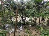 IMD warns of heavy rain across 19 states, flash floods likely