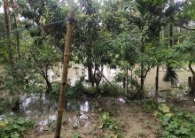 IMD warns of heavy rain across 19 states, flash floods likely