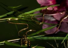Gold and silver rates today, September 20