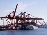 India notifies Mundra, Kandla, JNPT, Paradip as mega ports