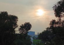Jharkhand draft industrial policy: Key incentives at a glance