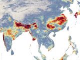 8 states, 2 UTs under flash flood alert as IMD warns of heavy rain