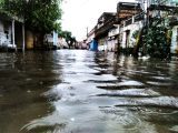 Heavy rain kills at least 10 in Uttar Pradesh