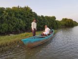 Mangrove Ecosystems: Nature’s Living Shield Against Climate Change and Coastal Disasters