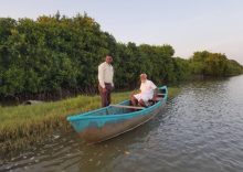 Mangrove Ecosystems: Nature’s Living Shield Against Climate Change and Coastal Disasters