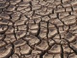 Karnataka seeks Rs 7,142 crore drought aid from Centre