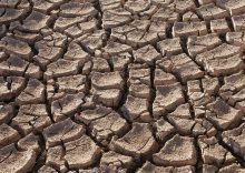 Karnataka seeks Rs 7,142 crore drought aid from Centre