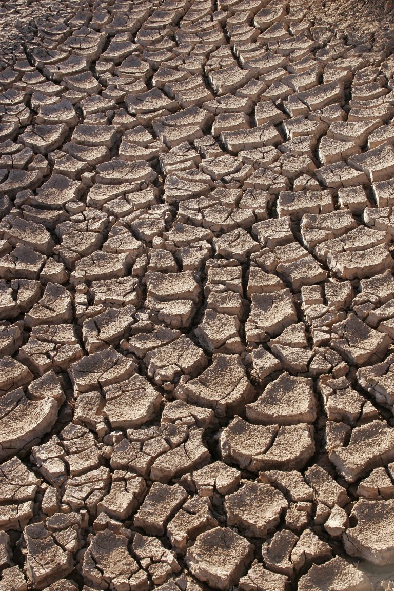 Karnataka seeks Rs 7,142 crore drought aid from Centre