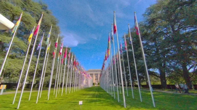 UN raises concern over Delhi detentions